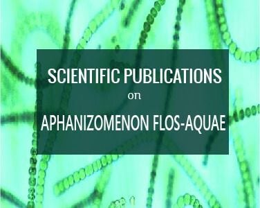 scientific publications aphanizomenon flos aquae bluegreenfoods klamath lake algae buy products online